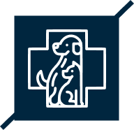 VETERINARIO